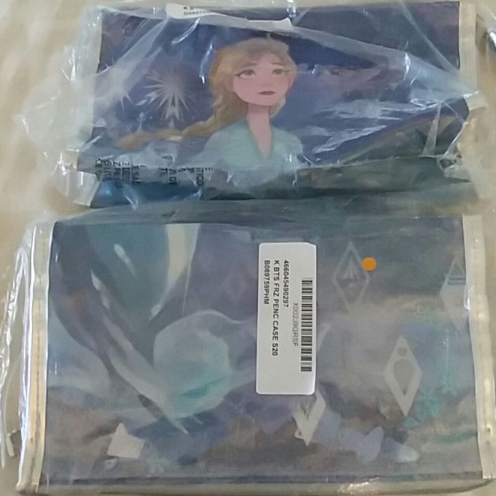 Pair of Frozen Pencil Cases